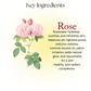 Rose Mist